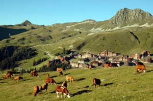 Camping - La Plagne - Rhône-Alpes - Résidence Thémis - Image #11